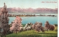 Preview: AK Lindau (88131), Lindau und die Alpen, n. gelaufen