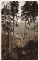 Preview: AK Schwarzwald (79868), Klima und Kneippkurort, gelaufen 27.09.1923