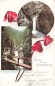 Preview: AK Marktschellenberg (83487), Gruss aus der Almbachklamm., gelaufen am 17.08.1900 (Klattau)