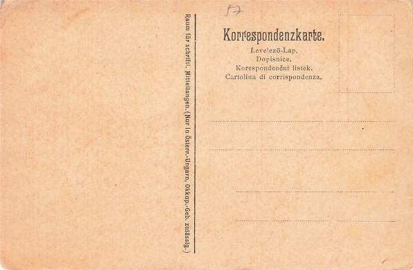 AK Osterreich / Ungarische Arnmee,  Offizier bei Trinken, n. gelaufen