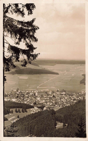 AK Schwarzwald (79868),Klima und Kneippkurort, Bahnpost
