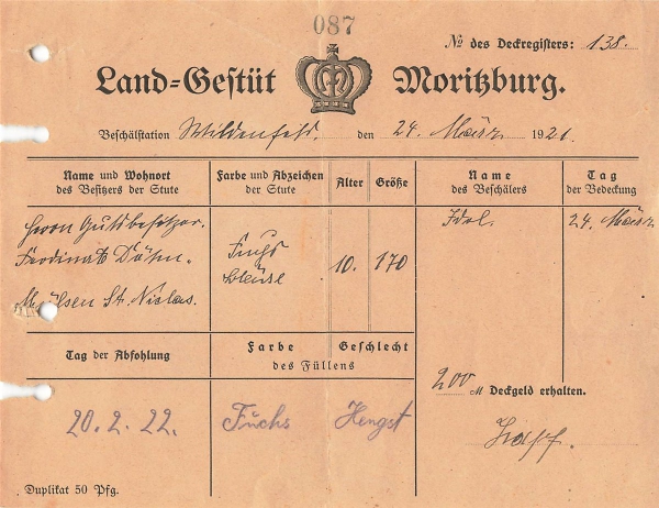 Alte Rechnung,"Land-Gestüt Moritzburg, Moritzburg" 24.03.1921