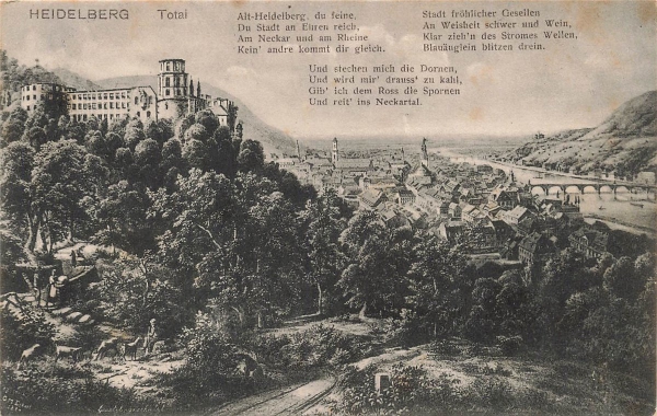 AK Heidelberg (69115), Heidelberg - Ortsansichtl, n. gelaufen