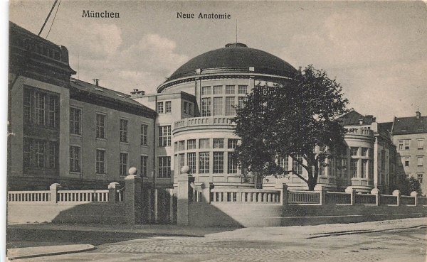 AK München (23552), Neue Anatomie, n. gelaufen