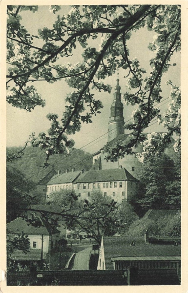AK Weesenstein (01809), Hohnstein zur Baumblüte, n.gelaufen