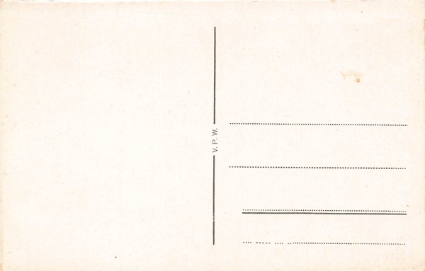 AK Bingen a.R. (55411), Mäuseturm und Ruine Ehrenfels, n. gelaufen