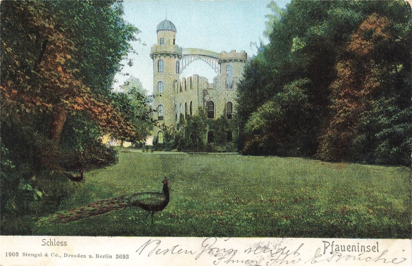AK Berlin (10115), Pfaueninsel, Schloss, gelaufen am 19.04.1906 (Bonn)