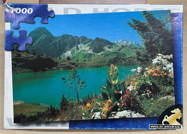 1000 Pieces Jigsaw Puzzle, WILD HORSE, "Allgau"