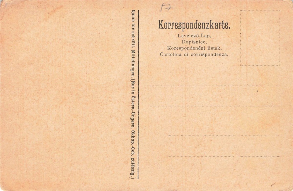 AK Osterreich / Ungarische Arnmee,  Offizier bei Trinken, n. gelaufen