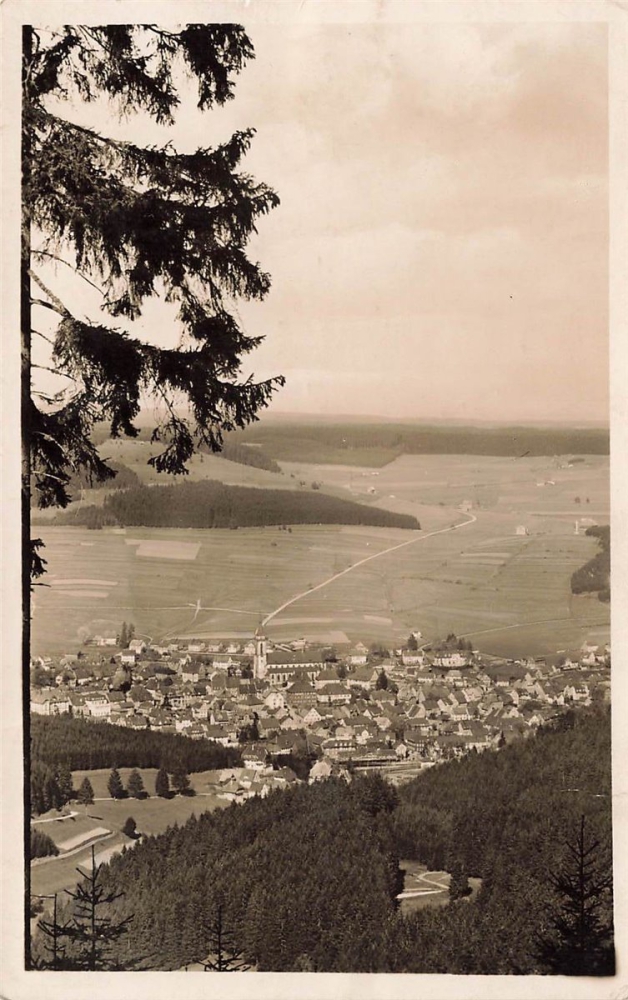 AK Schwarzwald (79868),Klima und Kneippkurort, Bahnpost