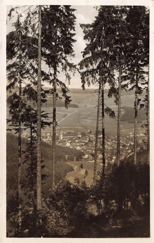 AK Schwarzwald (79868), Klima und Kneippkurort, gelaufen 27.09.1923