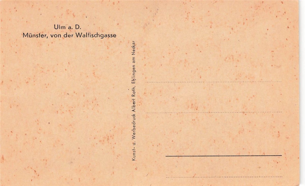 AK Münster (48143), Von der Walfischgasse, n. gelaufen