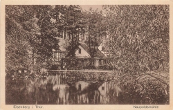 AK Eisenberg i. Thür. (07607) Naupoldsmühle, gelaufen am 13.03.1932 (Gera)