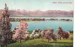 AK Lindau (88131), Lindau und die Alpen, n. gelaufen