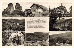 AK Bayrischer Wald (80331), Mehrbildkarte,n. gelaufen