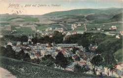 AK Sebnitz (01851), Blick auf Sebnitz u. Viaduct, gelaufen am 19.08.1909 (Sebnitz)