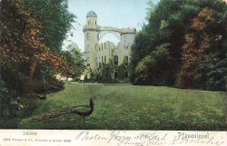 AK Berlin (10115), Pfaueninsel, Schloss, gelaufen am 19.04.1906 (Bonn)