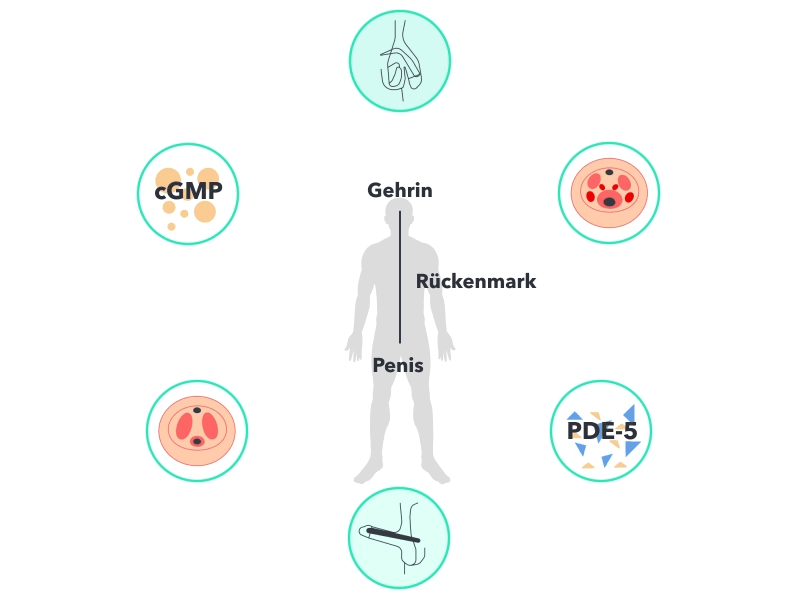 Potenzmittel kamagra tabletten