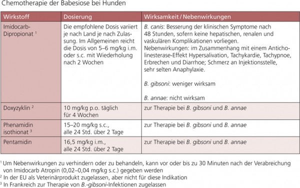 Prednisolon 20 mg für hunde