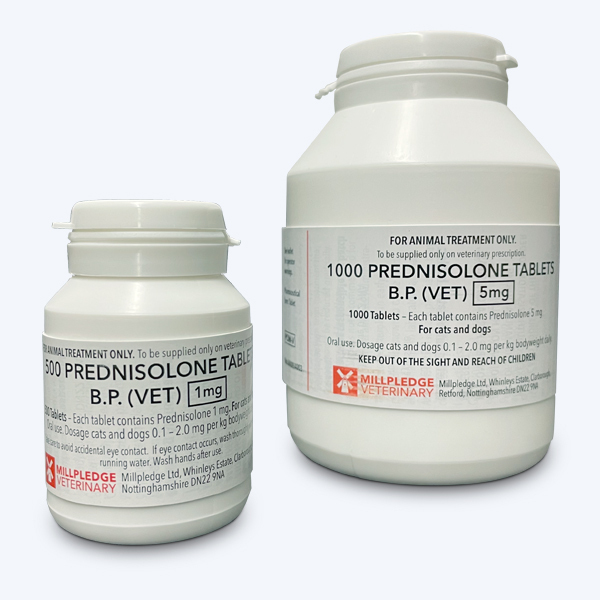 Prednisolon Pille