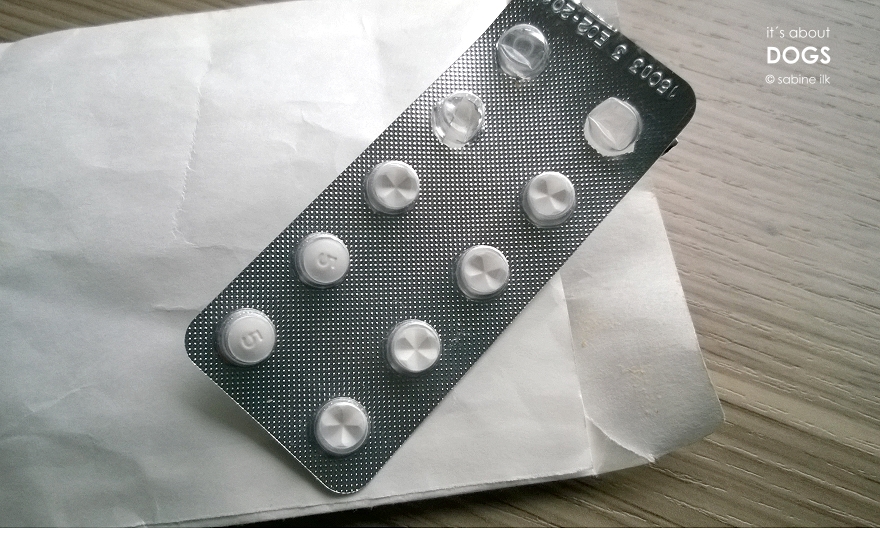 Prednisolon acis 20 mg für hunde