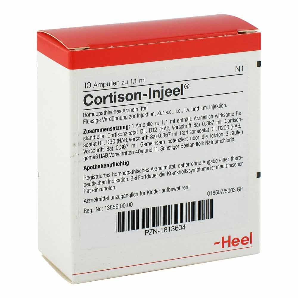 prednisolon katze kaufen