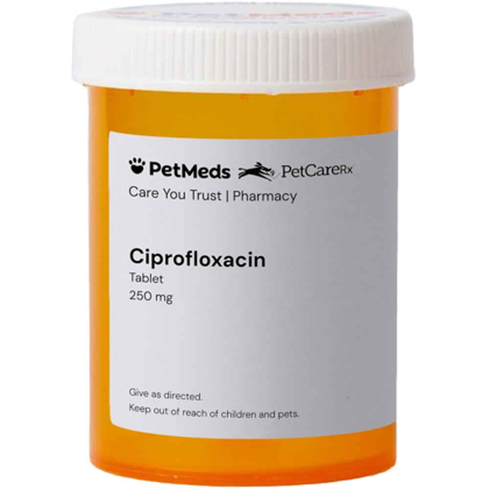 Ciprofloxacin 250mg Us