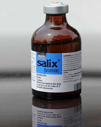 Lasix 40 Mg Für Katzen