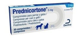 Prednisolon kaufen hund