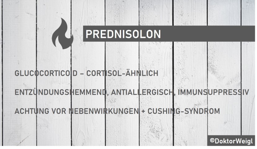 Prednisolon Preis Deutschland
