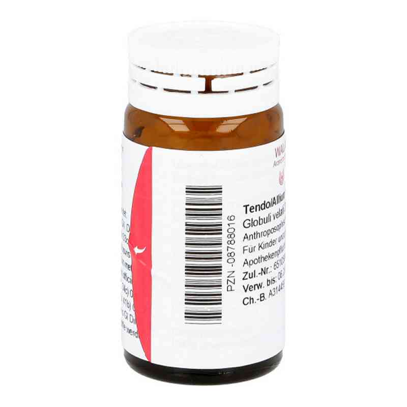 alli tabletten preis