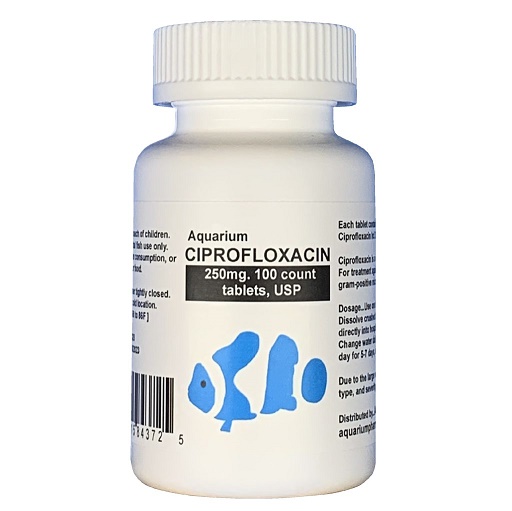 Cipro 250mg Online