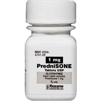 Prednisolone preis
