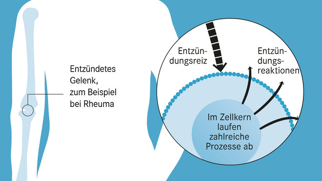 prednisolon apotheke online