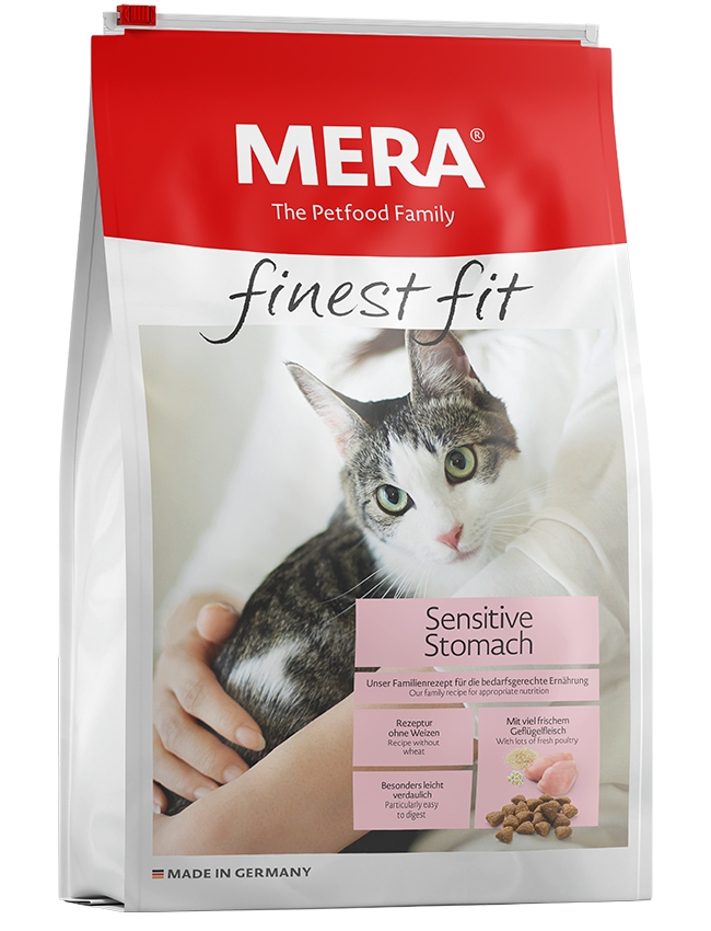 Prednisolon für katzen kaufen