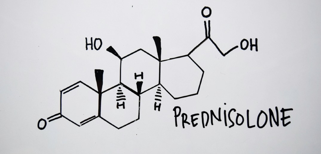 Prednisolone Billig