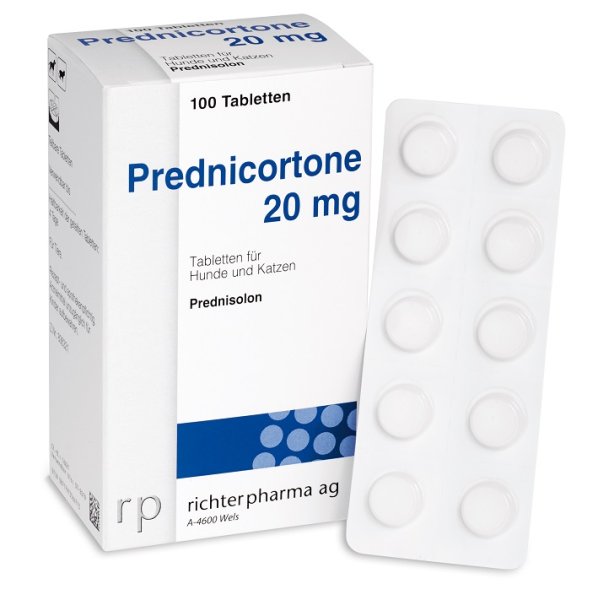 prednisolon 5mg für tiere hunde katzen