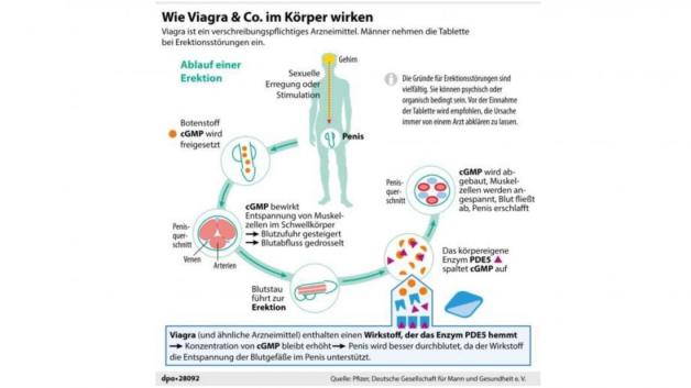 viagra tabletten für stiere