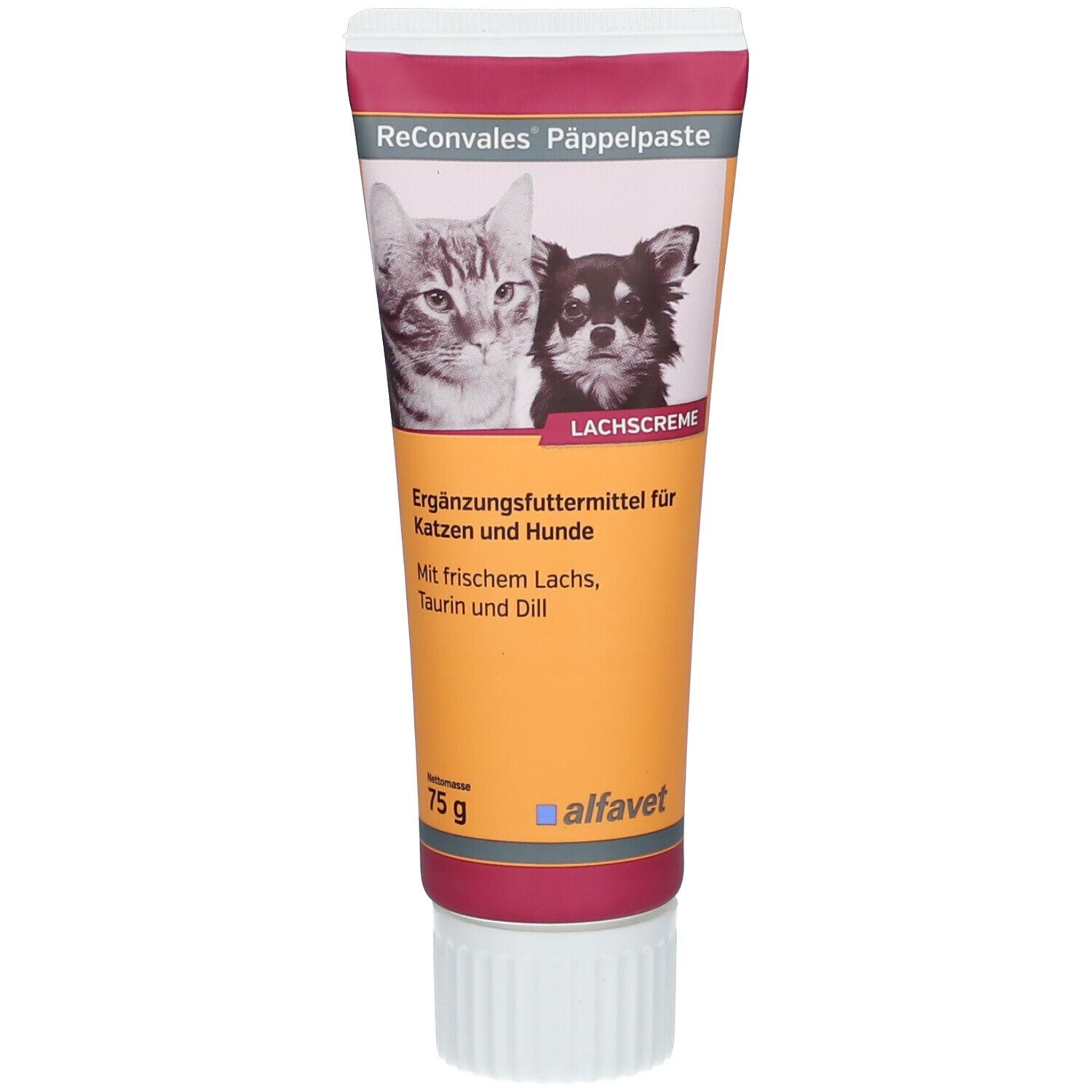 Prednisolon katze rezeptfrei