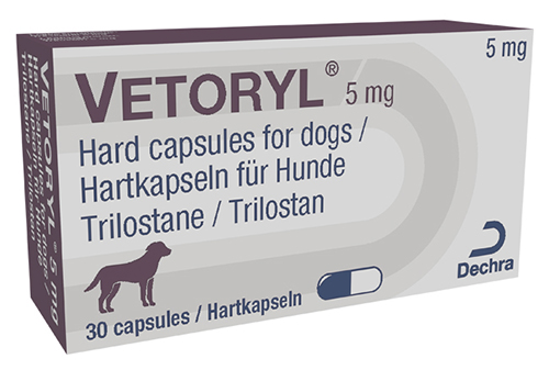 prednisolon 5 mg katze bestellen