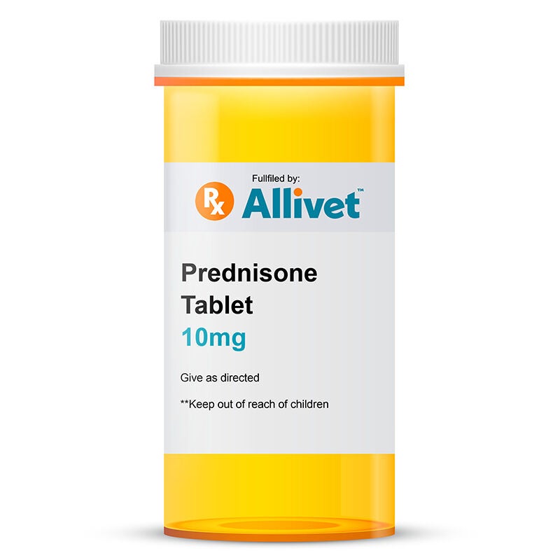 prednisolone kosten