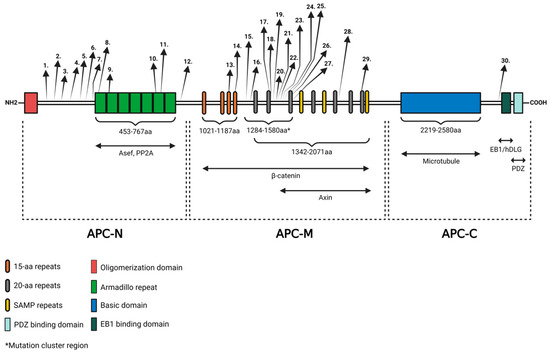 Apcalis sx generikum