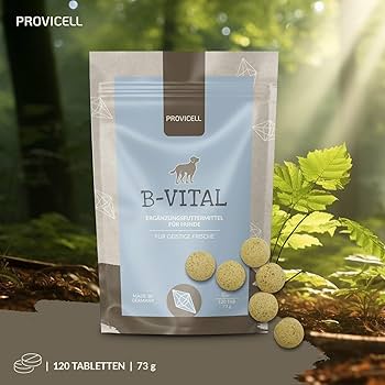 Bestellen Provigil Generika
