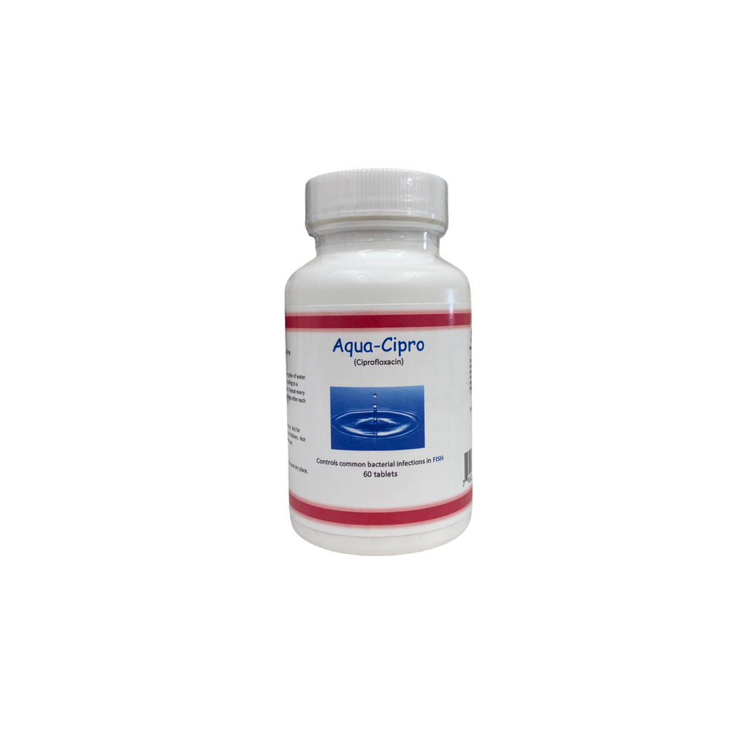 Cipro 250mg