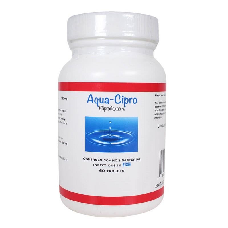 Cipro online
