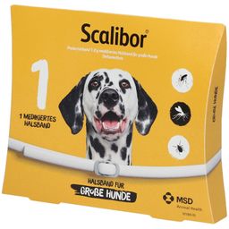 Prednisolon 5mg Hund Kaufen