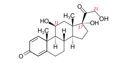 Prednisolone Generikum