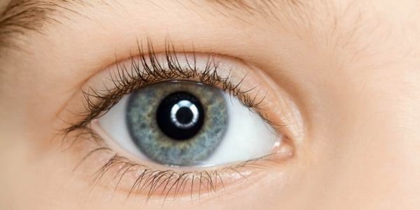 Prednisolon Augensalbe Ohne Rezept