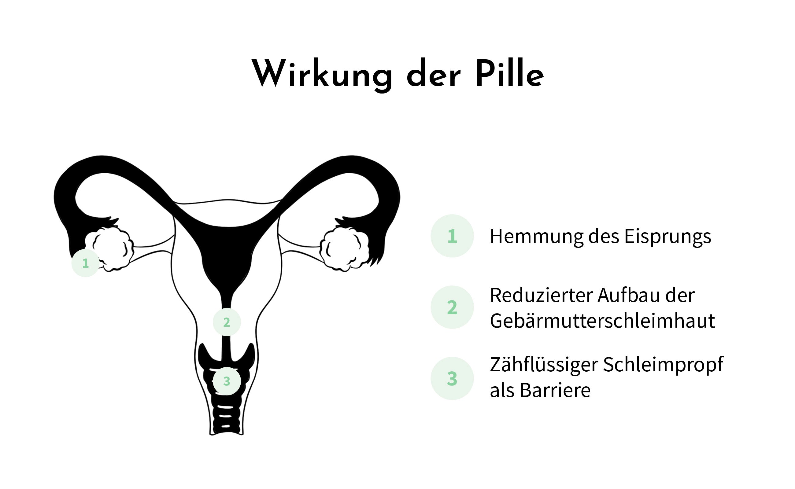 isotretinoin nach absetzen der pille