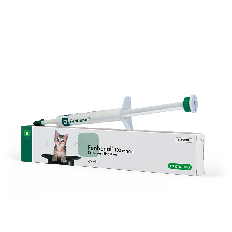 ivermectin kaufen katze